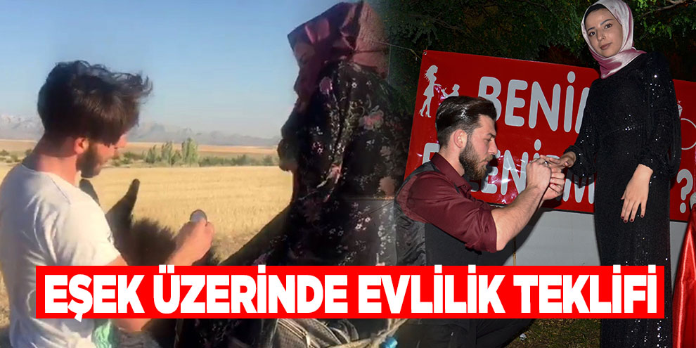 Eşek üzerinde evlilik teklifi
