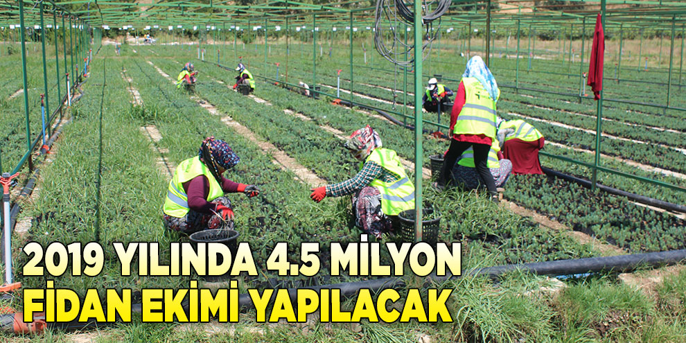 2019 yılında 4.5 milyon fidan ekimi yapılacak
