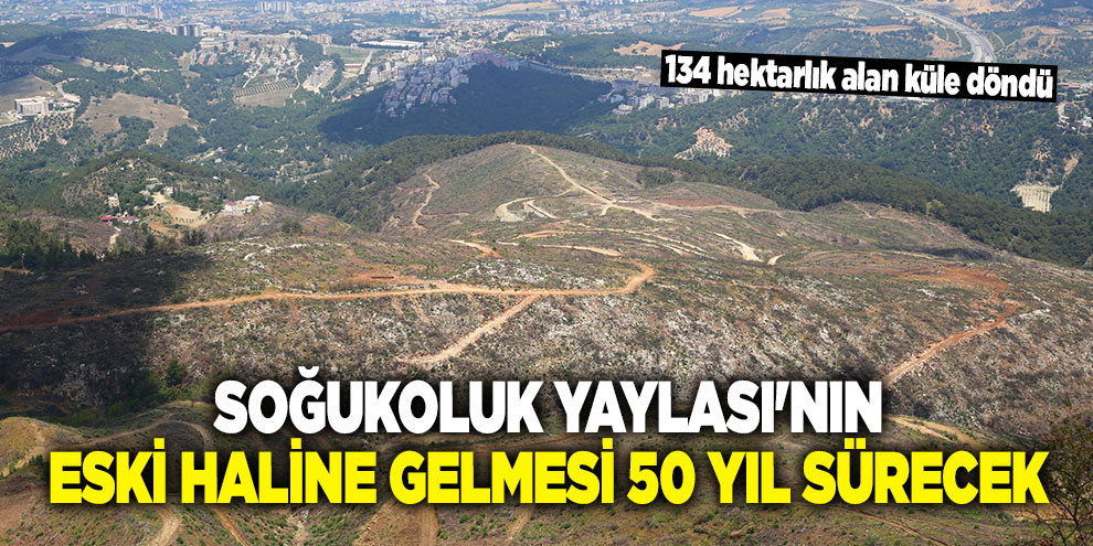 Soğukoluk Yaylası'nın eski haline gelmesi 50 yıl sürecek