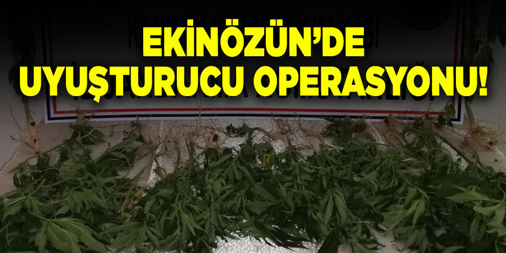 Ekinözün’de uyuşturucu operasyonu!