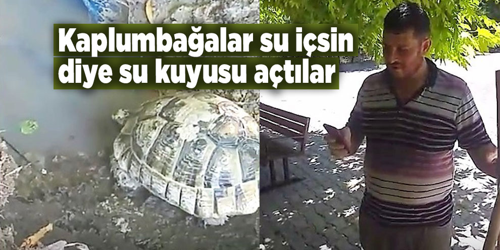 Kaplumbağalar su içsin diye su kuyusu açtılar