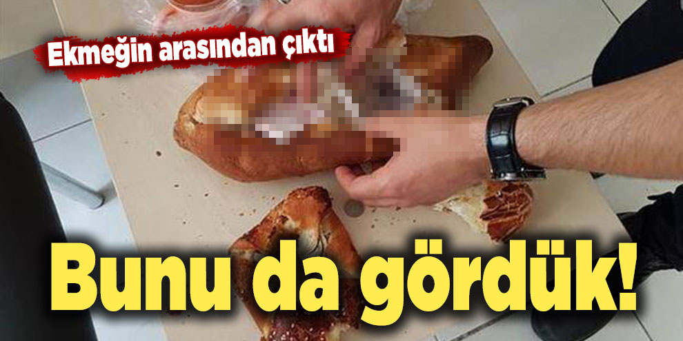 Bunu da gördük! Ekmeğin arasından çıktı