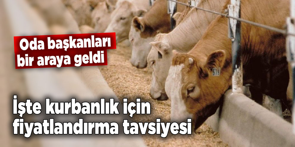 Oda başkanları kurbanlık fiyatları için tavsiyede bulundu