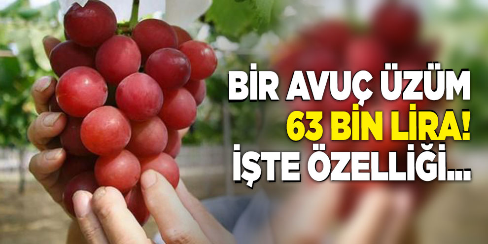 Bir avuç üzüm 63 bin lira! İşte özelliği...