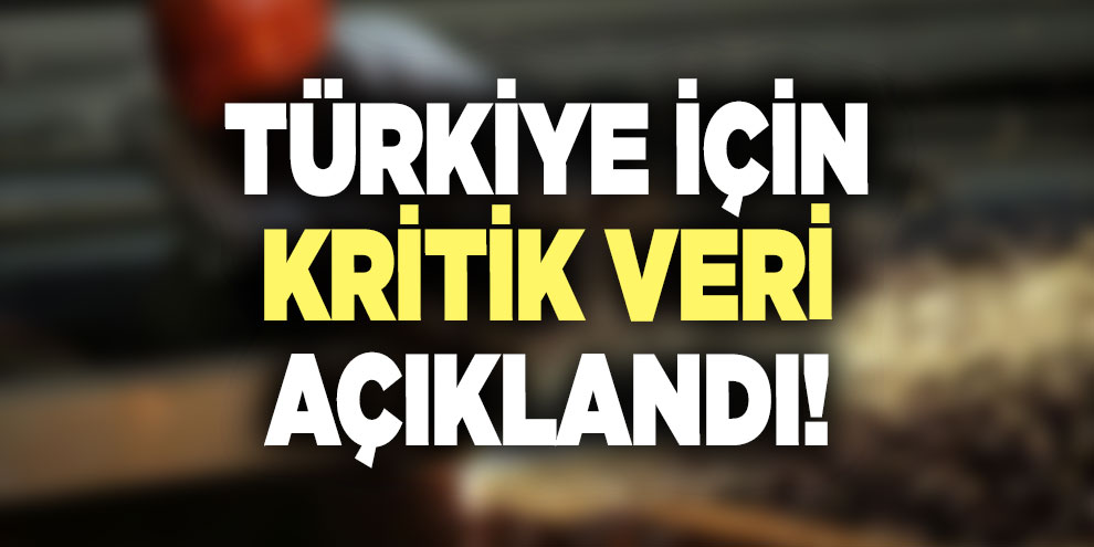 Türkiye için kritik veri açıklandı!