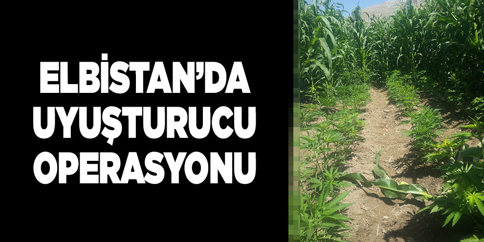 Elbistan’da uyuşturucu operasyonu