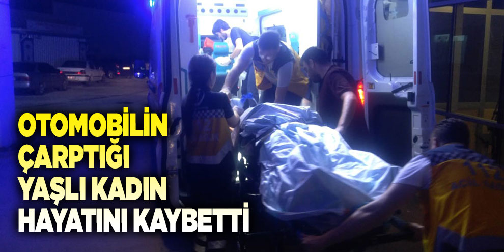 Otomobilin çarptığı yaşlı kadın hayatını kaybetti
