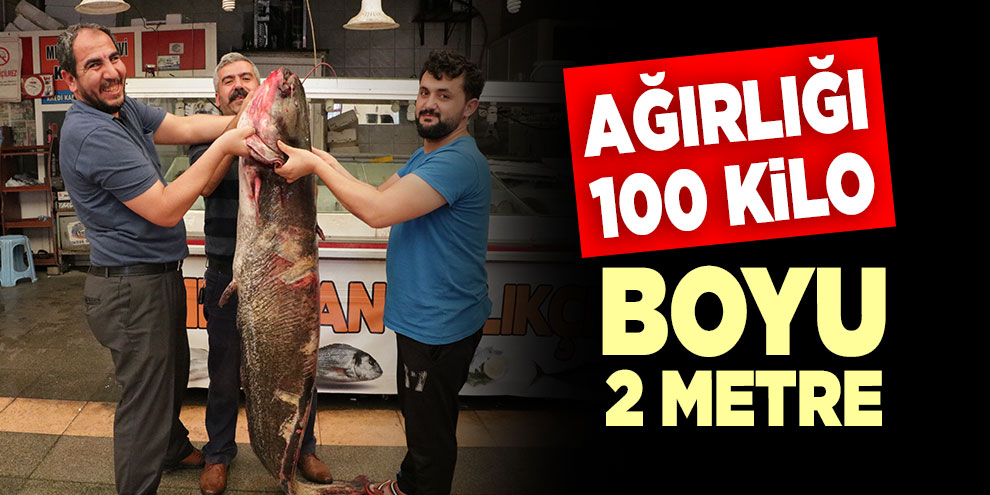 Ağırlığı 100 kilo, boyu 2 metre