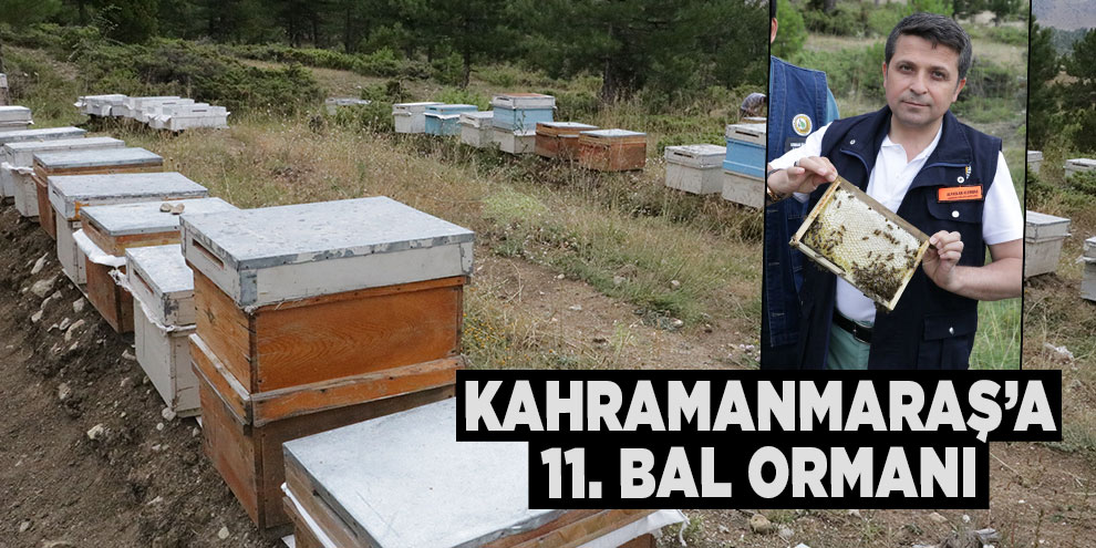 Kahramanmaraş’a 11. bal ormanı