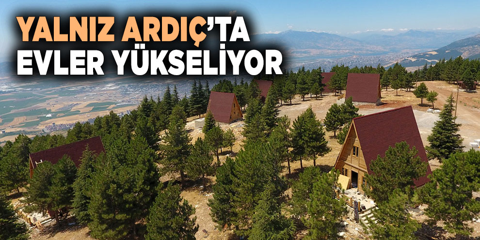 Yalnız Ardıç’ta evler yükseliyor