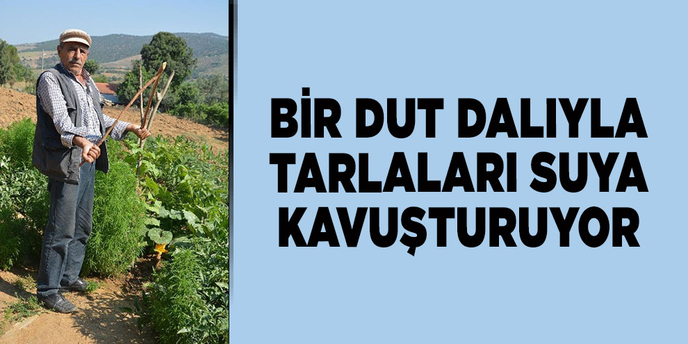 Bir dut dalıyla tarlaları suya kavuşturuyor