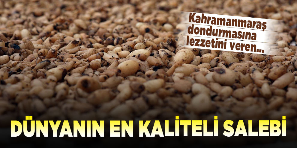 Dünyanın en kaliteli salebine patent başvurusu