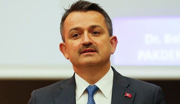 Bakan Pakdemirli açıkladı: Hayvanlara el koyduk