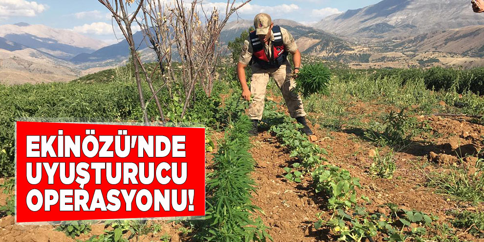 Ekinözü'nde uyuşturucu operasyonu!