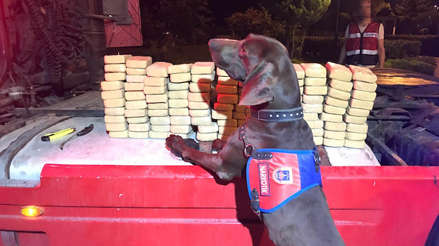 Dev operasyon! 92 kilo eroin ele geçirildi
