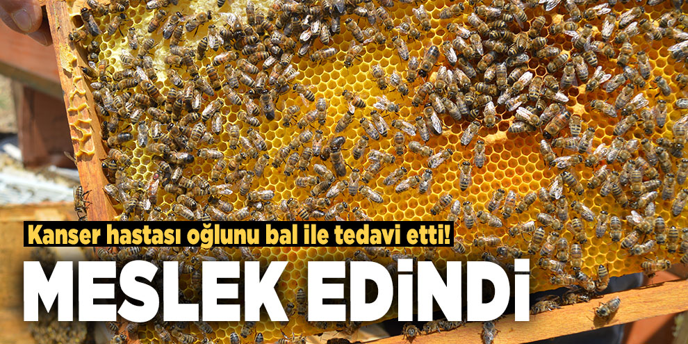 Kanser hastası oğlunu bal ile tedavi eden baba, arıcılığı meslek edindi