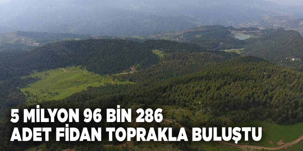 5 milyon 96 bin 286 adet fidan toprakla buluştu