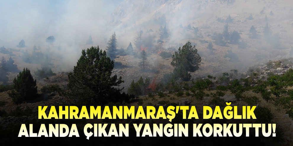 Kahramanmaraş'ta dağlık alanda çıkan yangın söndürüldü