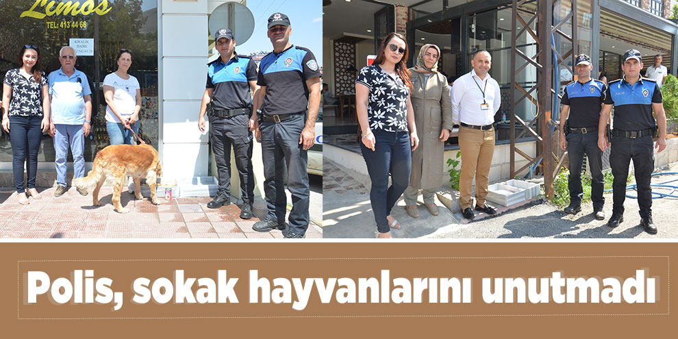 Polis, sokak hayvanlarını unutmadı