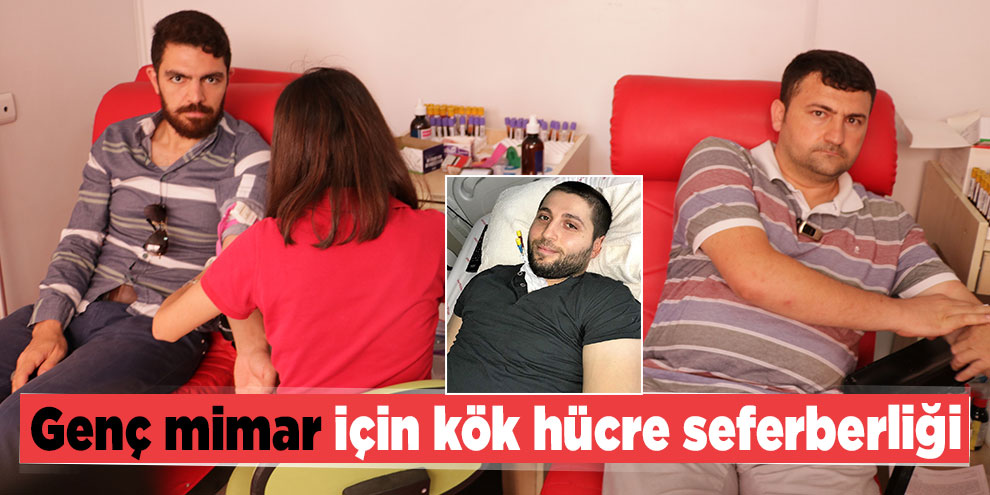 Genç mimar için kök hücre seferberliği