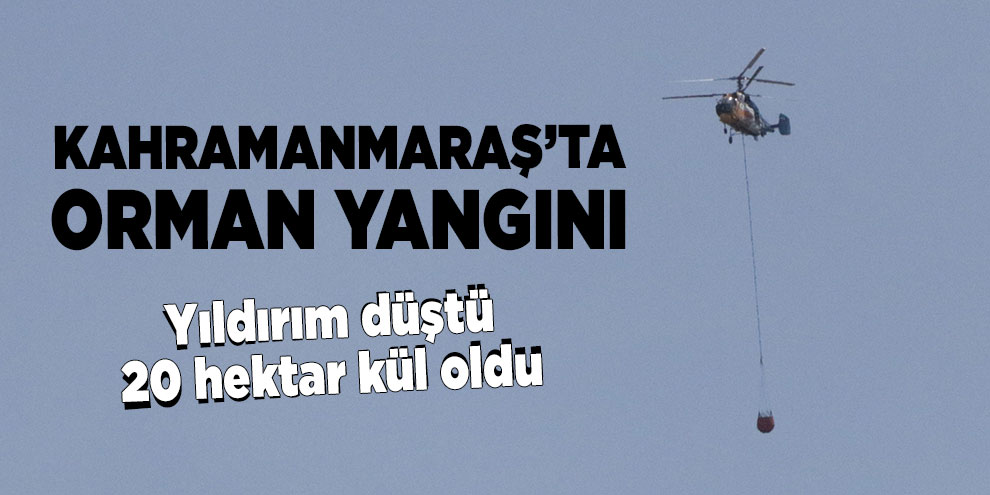 Kahramanmaraş’ta orman yangını