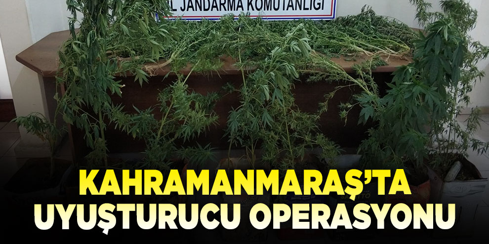 Kahramanmaraş’ta uyuşturucu operasyonu