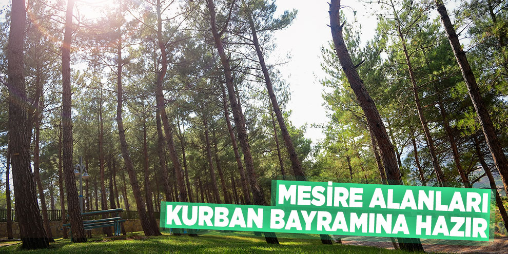 Mesire alanları kurban bayramına hazır