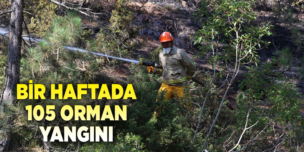Bir haftada 105 orman yangını