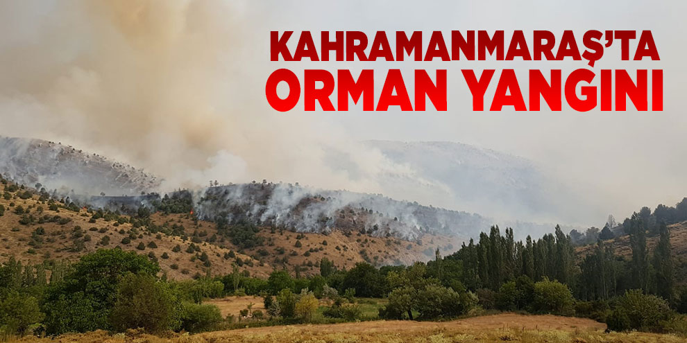 Kahramanmaraş’ta orman yangını