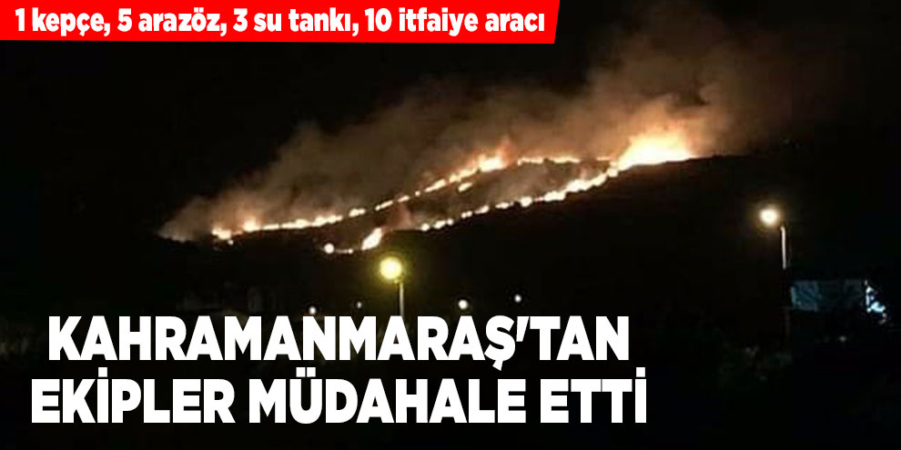 Samandağ’da çıkan yangın kontrol altına alındı