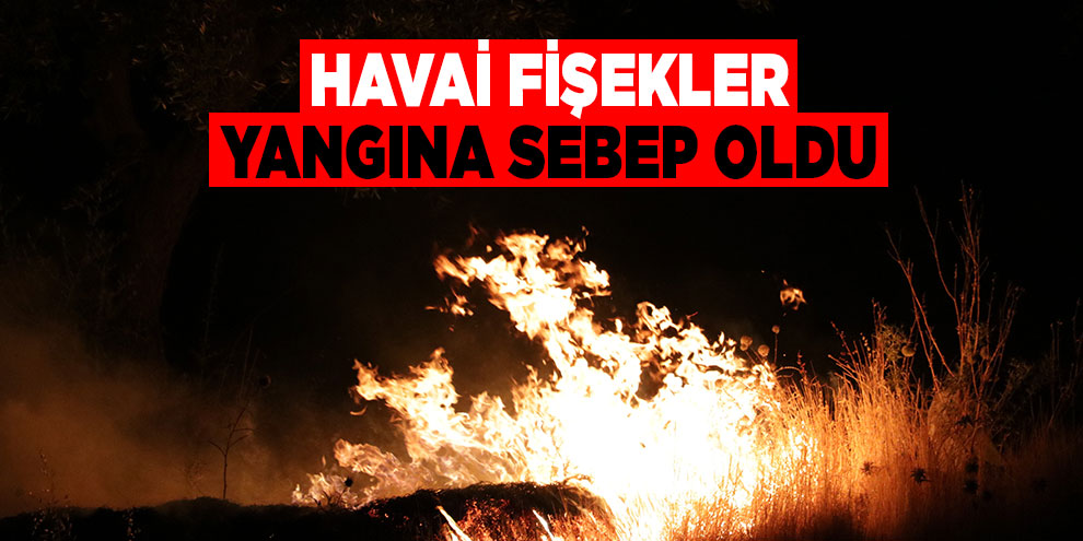 Havai fişekler yangına sebep oldu
