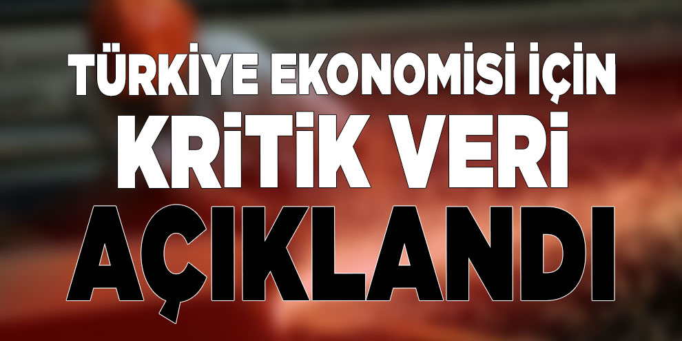 Türkiye ekonomisi için kritik veri açıklandı