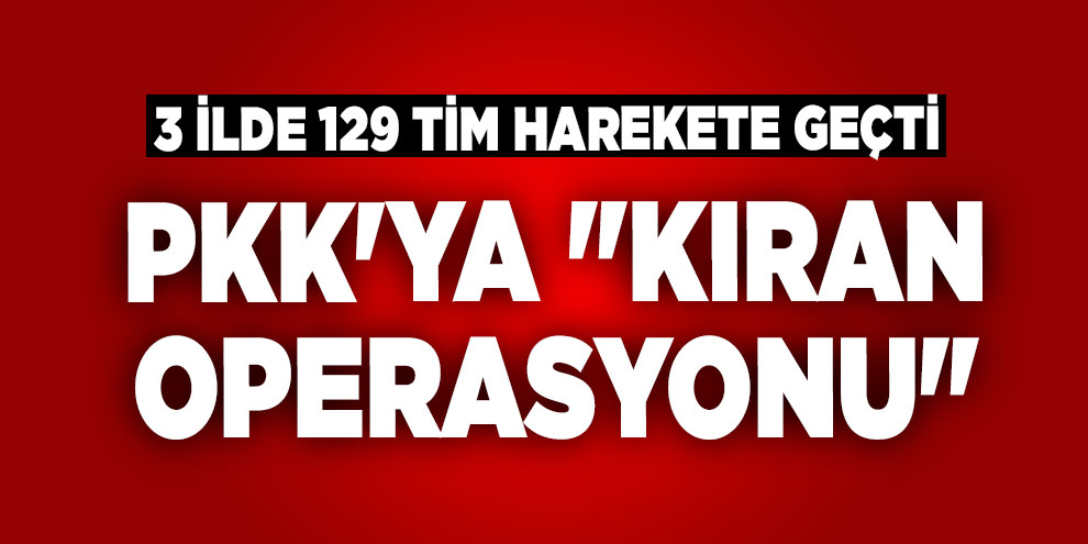 3 ilde 129 tim harekete geçti: PKK'ya "Kıran Operasyonu"