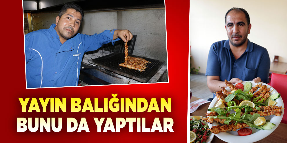 Yayın balığından şiş kebap