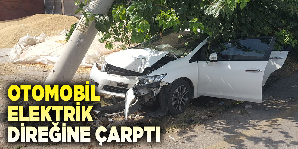 Otomobil, elektrik direğine çarptı: 1 yaralı