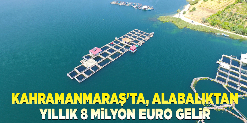 Denize kıyısı olmayan Kahramanmaraş'ta, alabalıktan yıllık 8 milyon Euro gelir