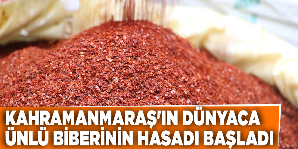 Kahramanmaraş'ın dünyaca ünlü biberinin hasadı başladı