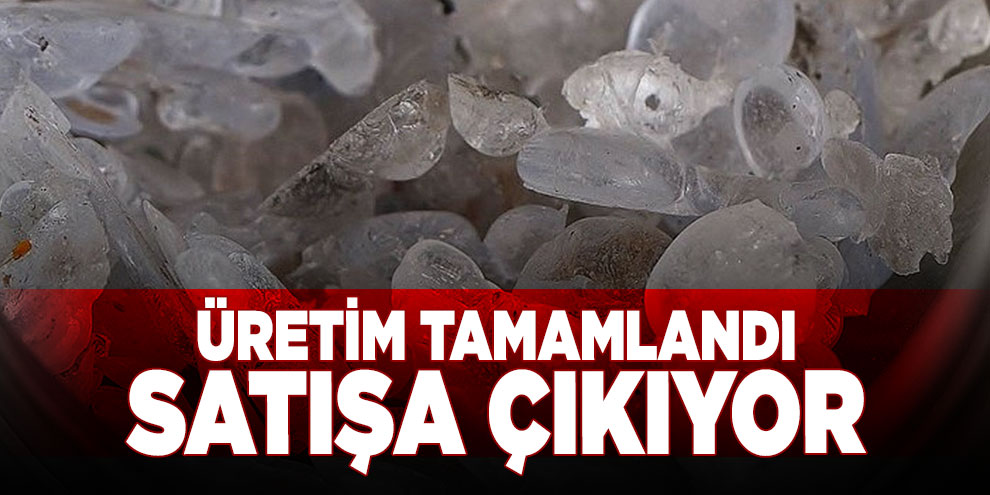 Türkiye bor hamlesine devam ediyor!