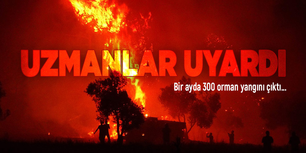 Bir ayda 300 orman yangını çıktı...Uzmanlar uyardı