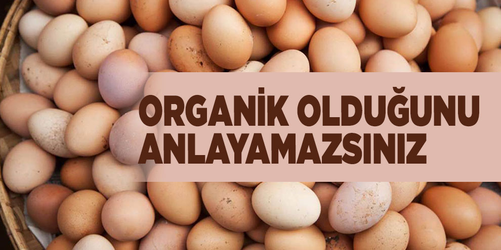 Organik olduğunu anlayamazsınız