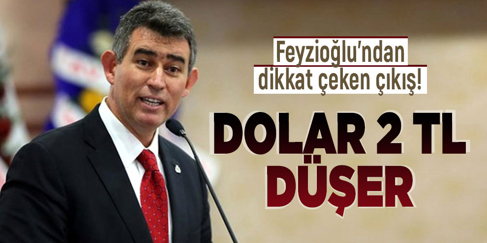Feyzioğlu'ndan dikkat çeken çıkış! Dolar 2 lira düşer