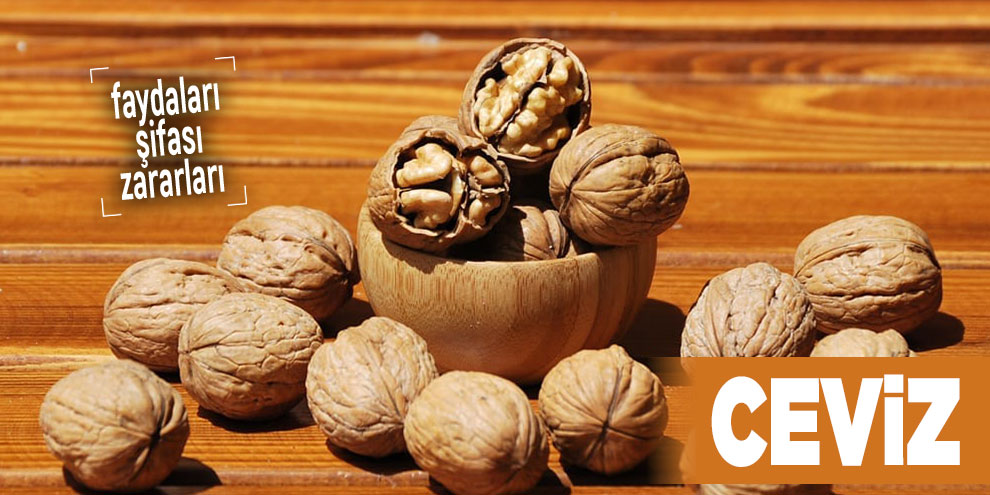Şifalı bitkilerden Ceviz, Ceviz nedir