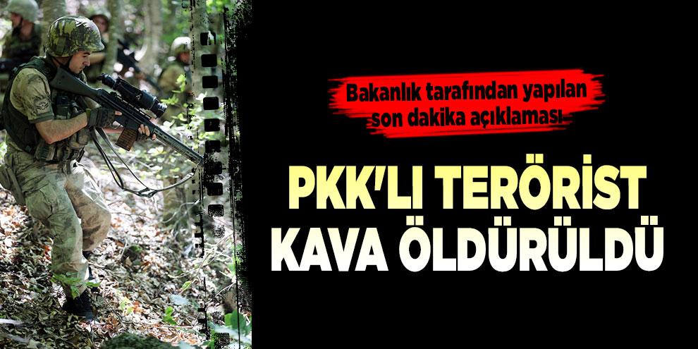 PKK'lı terörist Kava öldürüldü