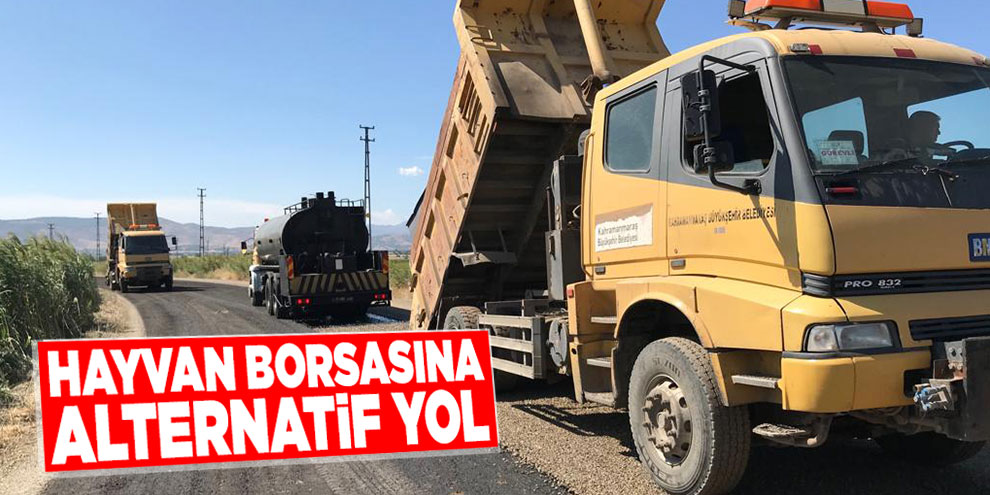 Hayvan borsasına alternatif yol
