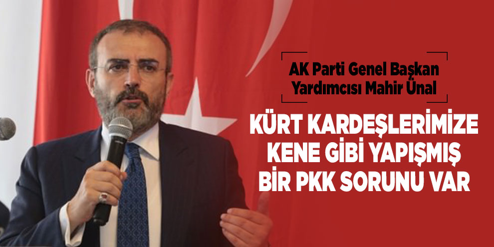 Kürt kardeşlerimize kene gibi yapışmış bir PKK sorunu var