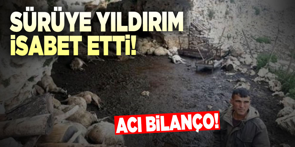 Sürüye yıldırım isabet etti! Acı bilanço!