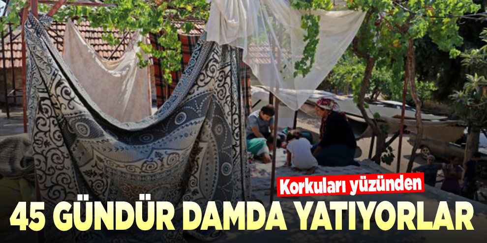 Korkuları yüzünden 45 gündür damda yatıyorlar