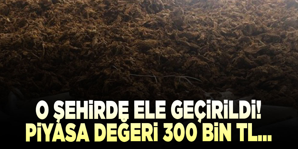 İstanbul'da ele geçirildi! Piyasa değeri 300 bin TL...