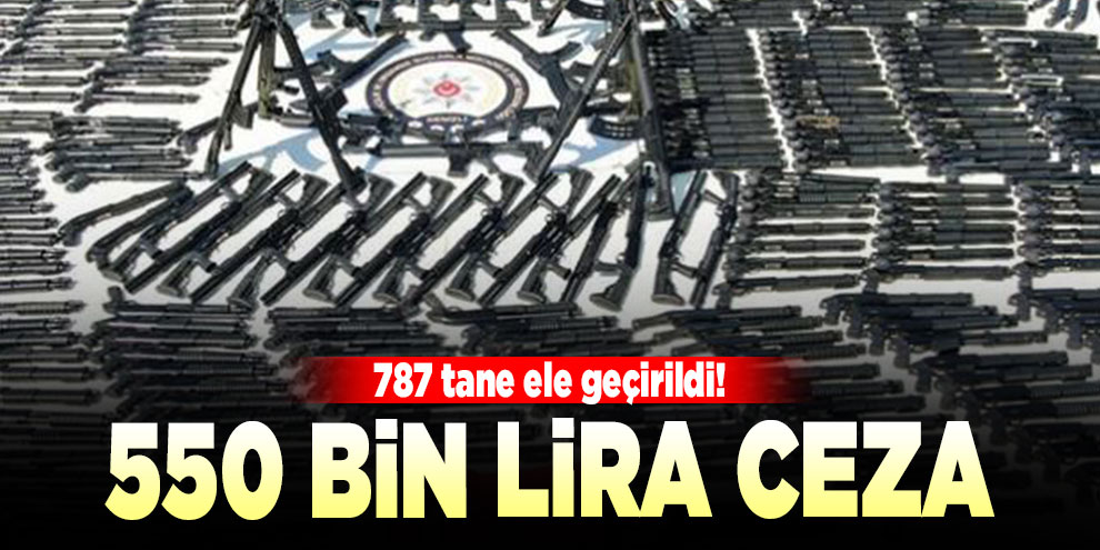 Silah operasyonunda yakalanan kişiye 550 bin lira ceza