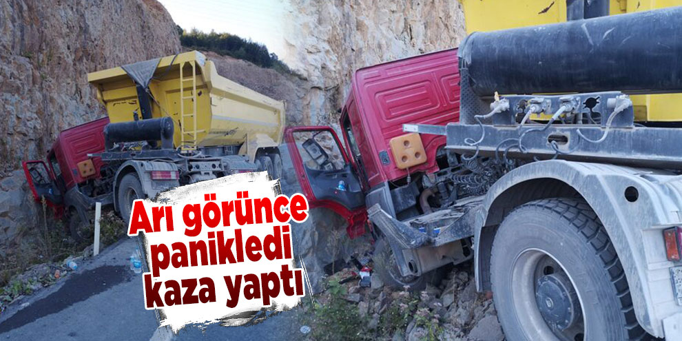 Arı görünce panikleyen TIR sürücüsü kaza yaptı